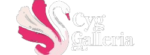 Cyg Galleria